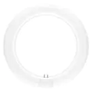 Ledvance LED Röhre T9 Value rund (EM/Mains) 11W 1320lm - 865 Tageslichtweiß | Ersatz für 22W