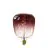 Calex Kiruna Marron LED E27 Fadenlampe 5W 130lm - 818 Extra Warmweiß | Dimmbar