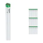 Mehrfachpackung 25x Philips TL-D 18W 10 Actinic BL (MASTER) | 59cm