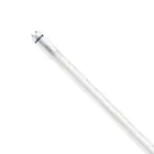 Philips Master LED Röhre T8 (EM/Mains) High Output T8 7.6W 1150lm - 840 Kaltweiß | 60cm - Ersatz Für 18W