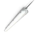 Philips CoreLine WT120C LED Feuchtraumleuchte 120cm 4000K LED40S | Ersetzt 2x36W