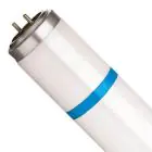 Philips TL-D 15W 10 Secura Actinic BL | 45cm