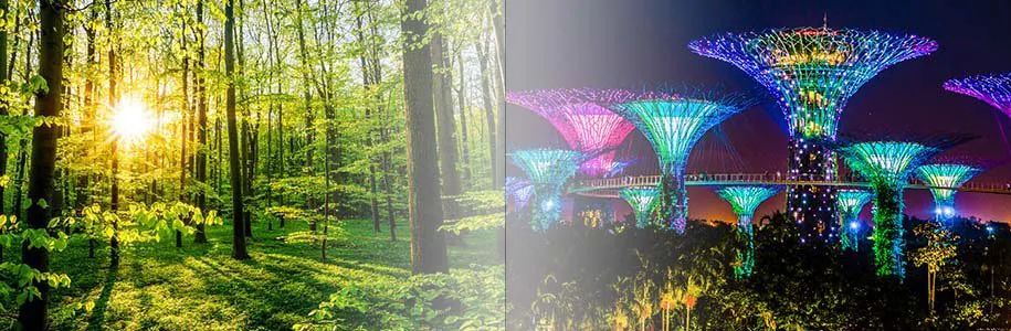 Nat&uuml;rliches Sonnenlicht versus k&uuml;nstliches Licht 