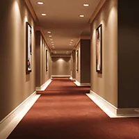 LED Downlight